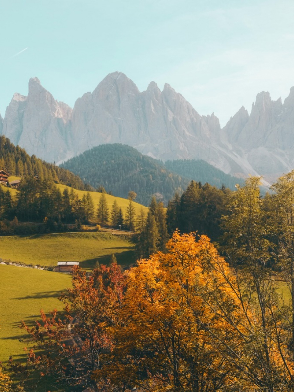 Hairlines Barbershop of Flemington Natures 02